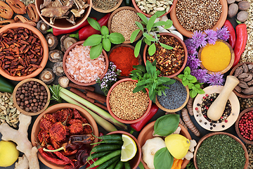 Image showing Herb and Spice Seasoning Assortment