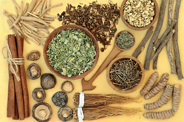 Image showing Adaptogen Healthy Food with Herbs and Spice
