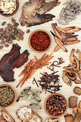 Image showing Natural Chinese Herb Collection