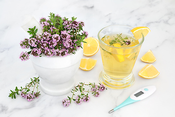 Image showing Thyme Herb and Lemon for Natural Cold and Flu Remedy