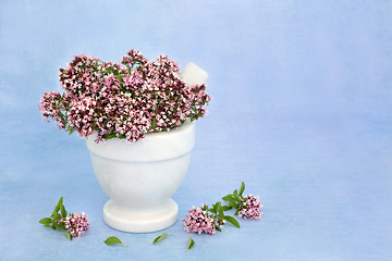 Image showing Oregano Herb Flowers used in Herbal Medicine 