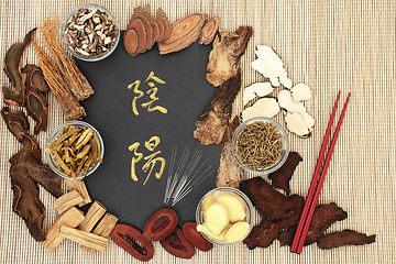 Image showing Yin Yang Chinese Herbs for Herbal Medicine