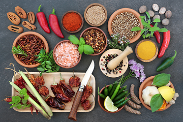 Image showing Large Fresh and Dried Herb and Spice Collection 