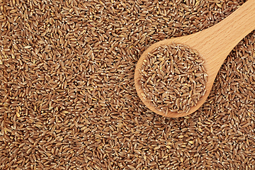 Image showing Organic Emmer Wholegrain Farro Wheat