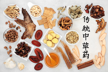 Image showing Traditional Chinese Herbs for Healing 