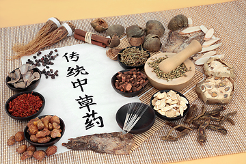 Image showing Traditional Chinese Herbal Medicine  