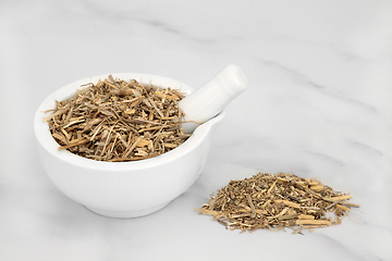 Image showing Couch Grass Herb used in Herbal Medicine