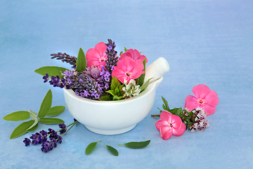 Image showing Flowers and Herbs for Herbal Medicine Remedies