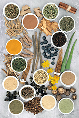 Image showing Adaptogen Herbal Medicine for Stress Relief