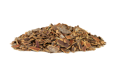 Image showing Cascara Herb Bark Herbal Medicine