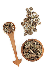 Image showing Moringa Oliefera Herb Seed Used in Herbal Medicine