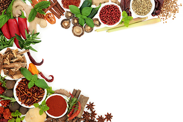 Image showing Fresh and Dried Herb and Spice Background Border 