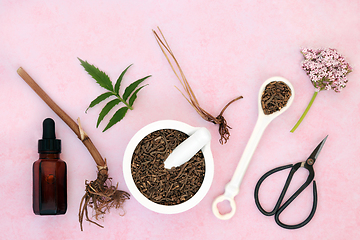 Image showing Valerian Herb Root and Flowers Tincture Preparation