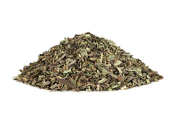 Image showing Plantain Herb Leaves Herbal Medicine