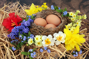 Image showing Spring Birds Nest and Brown Eggs with Flowers