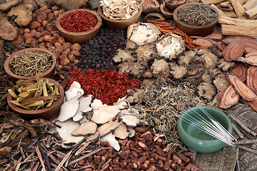 Image showing Chinese Acupuncture with Traditional Herbs