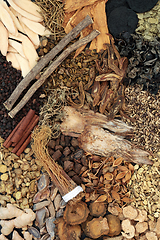 Image showing Traditional Chinese Fundamental Herbs and Spice