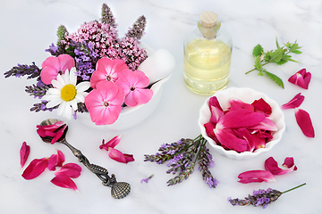 Image showing Flowers and Herbs for Natural Herbal Medicine