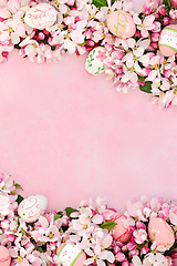 Image showing Easter Egg and Apple Blossom Background Border