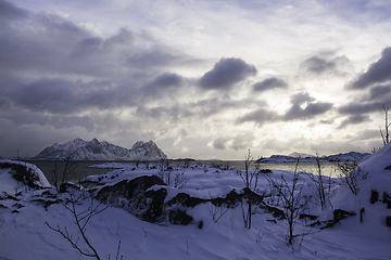 Image showing Svolvaer at the Lofoten, Norway