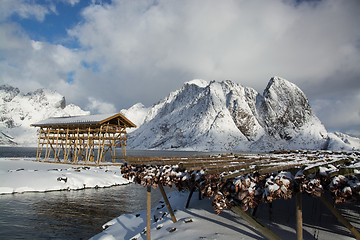 Image showing Morning in Sakrisoy at the Lofoten, Norway