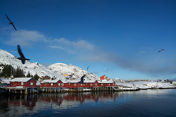 Image showing Reine, Lofoten, Norway