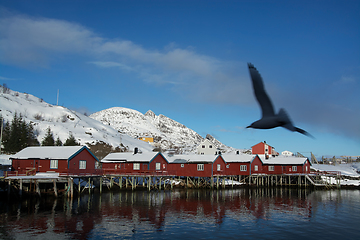 Image showing Reine, Lofoten, Norway