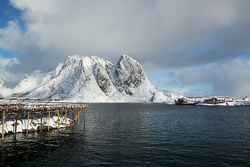 Image showing Morning in Sakrisoy at the Lofoten, Norway