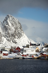 Image showing Reine, Lofoten, Norway