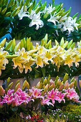 Image showing flowers market