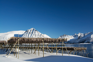 Image showing Barstrand, Lofoten, Norway