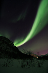 Image showing Northern Lights near Lyfjord, Norway