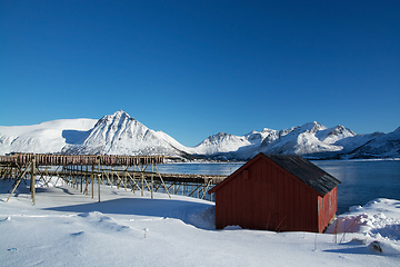 Image showing Barstrand, Lofoten, Norway