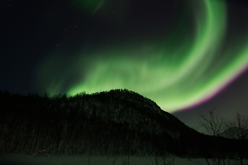 Image showing Northern Lights near Lyfjord, Norway