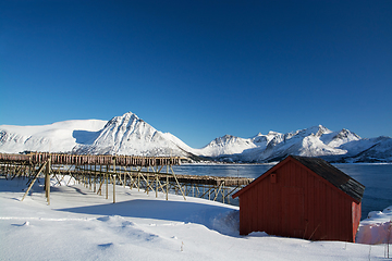 Image showing Barstrand, Lofoten, Norway