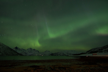 Image showing Northern Lights in Lyfjord, Norway