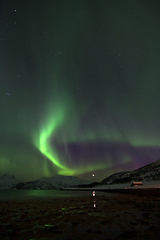 Image showing Northern Lights in Lyfjord, Norway