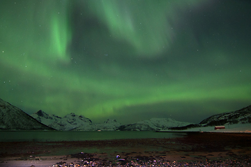 Image showing Northern Lights in Lyfjord, Norway