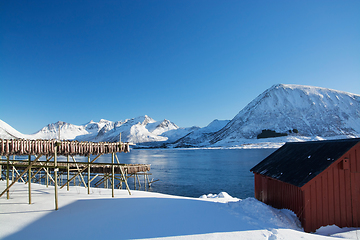 Image showing Barstrand, Lofoten, Norway