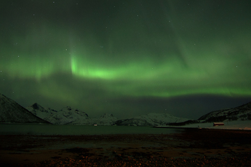 Image showing Northern Lights in Lyfjord, Norway