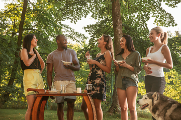 Image showing Happy friends eating and drinking beers at barbecue dinner on sunset time