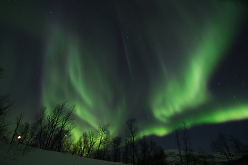 Image showing Northern Lights near Lyfjord, Norway