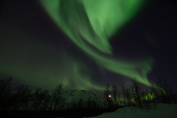 Image showing Northern Lights near Lyfjord, Norway