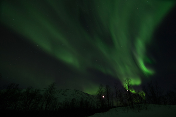 Image showing Northern Lights near Lyfjord, Norway