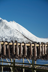 Image showing Barstrand, Lofoten, Norway