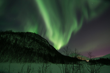 Image showing Northern Lights near Lyfjord, Norway