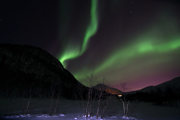 Image showing Northern Lights near Lyfjord, Norway