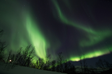 Image showing Northern Lights near Lyfjord, Norway