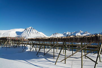 Image showing Barstrand, Lofoten, Norway