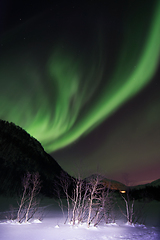 Image showing Northern Lights near Lyfjord, Norway